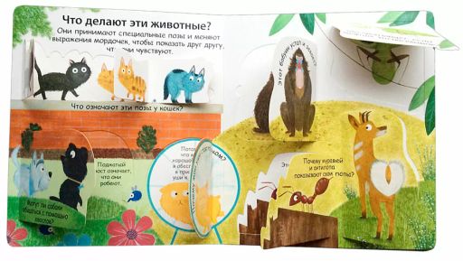 40 окошек. Как говорят животные - Робинс фото 3
