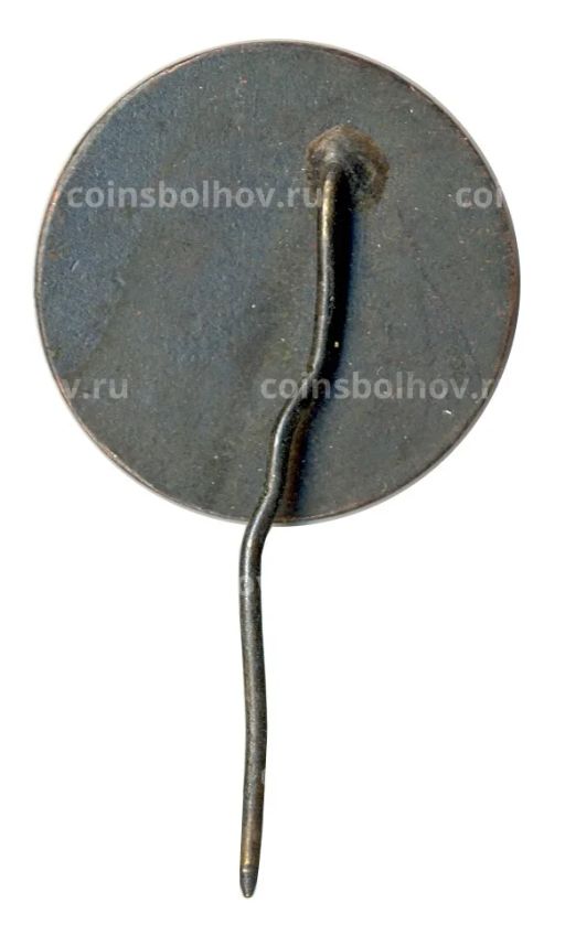 Значок Рига
