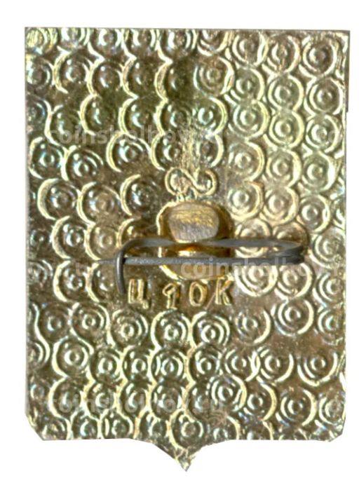 Значок Владимир