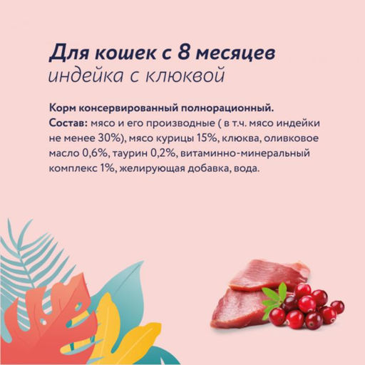 Набор 12 шт Корм консервированный полнорационный для взрослых кошек из индейки с клюквой 22ел16 - Florida фото 3