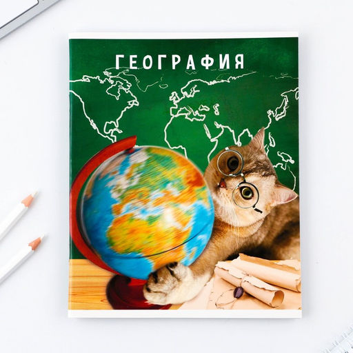 Предметная тетрадь, 48 листов, МИЛЫЕ ПИТОМЦЫ, со справочными материалами География, обложка мелованный картон 230 гр., внутренний блок в клетку 80 гр., белизна 96%,блок №1. - Artfox study фото 7