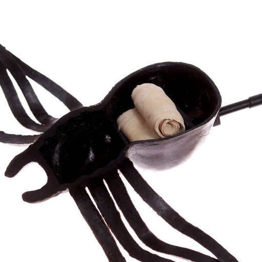 Прыгающий Паук - Simaland фото 2