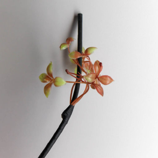 Сухоцвет набор 5 штук 155 см Роза бледно-коричневая/ 1810-18 /уп 34/ - Галеонтрейд фото 7