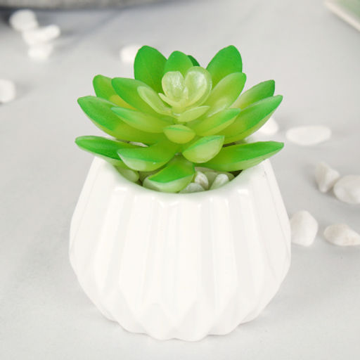 Суккулент искусственный 7х6 см / GN108 /уп 200/ - Галеонтрейд фото 3