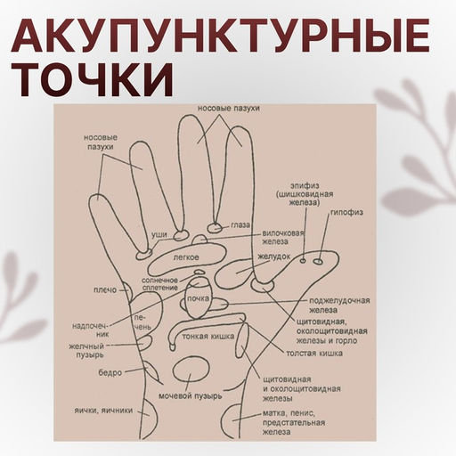 Цена за 2 шт. Набор массажёров «Су-джок», d=3.5 см, 2 кольца, МИКС