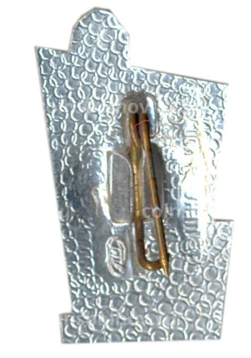 Значок Петродворец