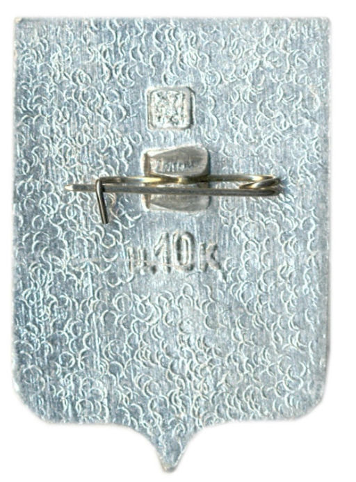 Значок Тамбов