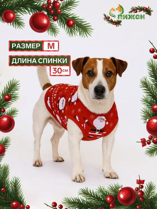 Майка Merry, размер M (ДС 30, ОШ 30, ОГ 40 см), красная
