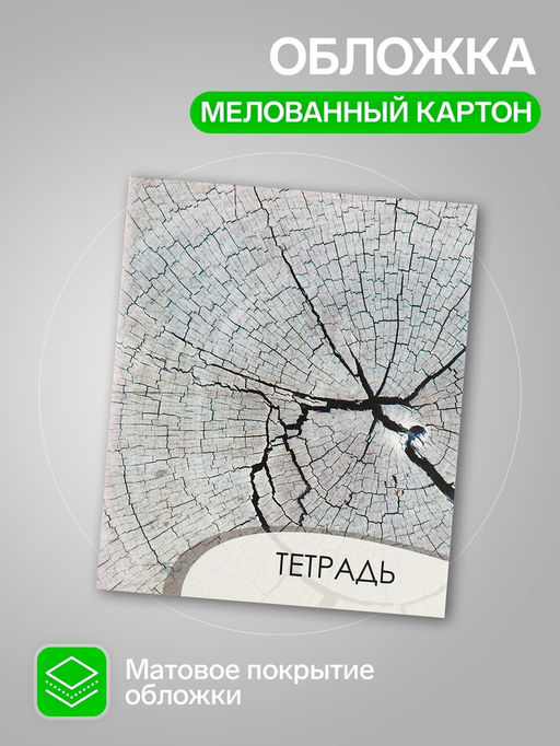 Комплект тетрадей из 4 штук, 96 листов в клетку Calligrata "Текстура 2", обложка мелованный картон, блок офсет