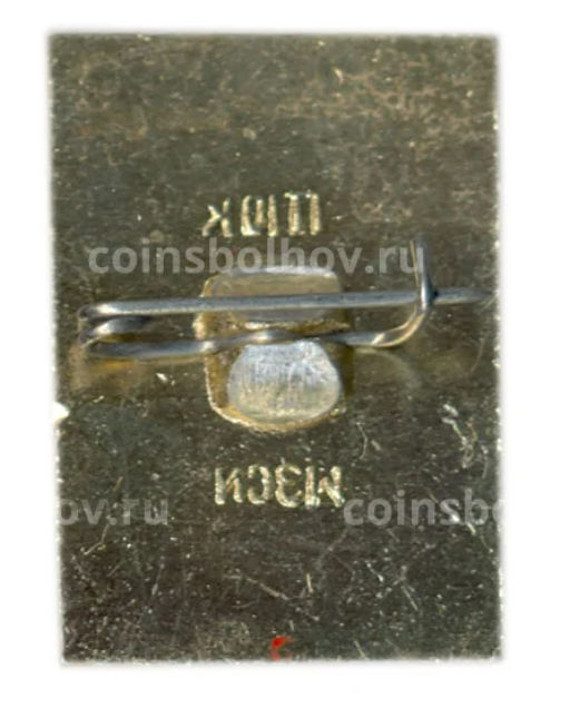 Значок Владимир