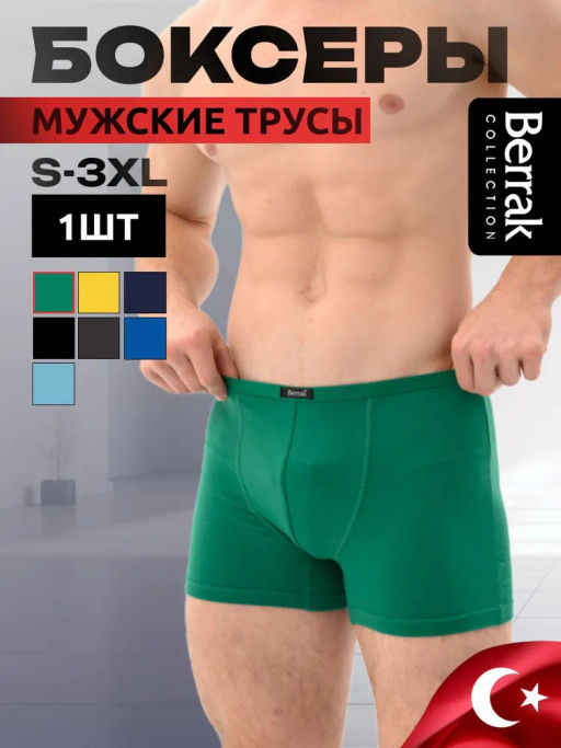 Мужские трусы Berrak 4488