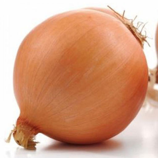 5037D Лук репчатый Мастер 1гр