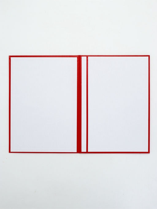 Папка адресная бумвинил А4 (пухлая) "Выпускнику" красная