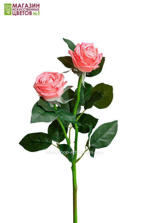 075 Роза двойная пионовидная - Без тм фото 17