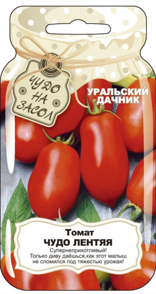 Томат ЧУДО ЛЕНТЯЯ  Супернеприхотливый! Кисти с большим количеством плодов! Как он не сломился под тяжестью плодов! - Уральский дачник фото 3