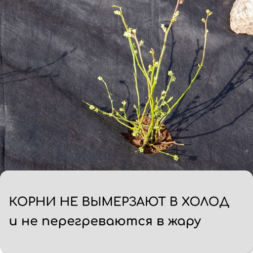 Материал мульчирующий, 10×3.2 м, плотность 60 г/м², спанбонд с УФ-стабилизатором, чёрный, Greengo, Эконом 30%