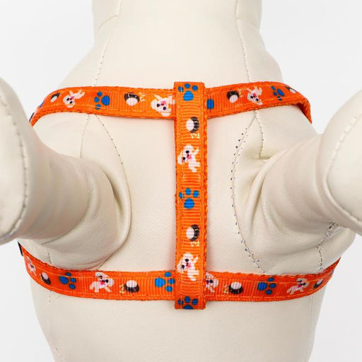 Комплект амуниции Собачки, поводок 120 х 1 см, ОГ 27-42 см, оранжевый - Пижон фото 2