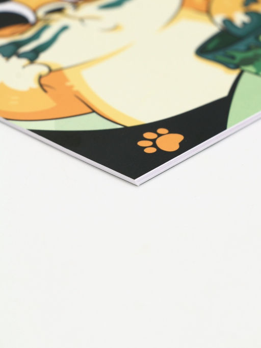 Подарочный набор: ручка с невидимыми чернилами и блокнот А6, 16 л. Кот - Artfox фото 4