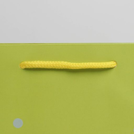 Цена за 5 шт. Пакет подарочный, упаковка, «Три медведя», 20 х 20 х 8 см