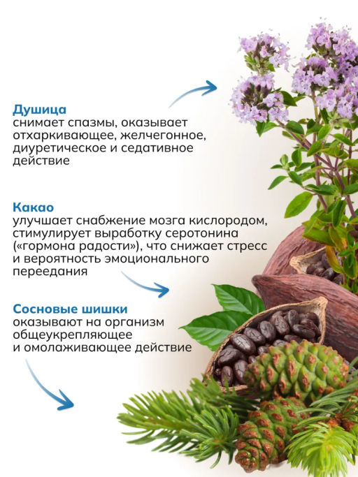 Банный сбор ФИТОПАР-5 Успокаивающий 500 г Алфит 1230  фото 13
