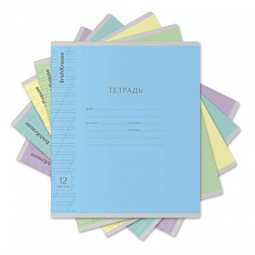 Цена за 280 шт. Тетрадь школьная ученическая ErichKrause Классика Visio ассорти, 12 листов, частая косая линейка (в плёнке по 10 шт.) фото 34