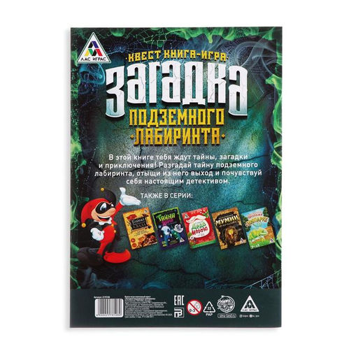 Цена за 2 шт. Книга квест - игра «Загадка подземного лабиринта», 22 стр., 7+