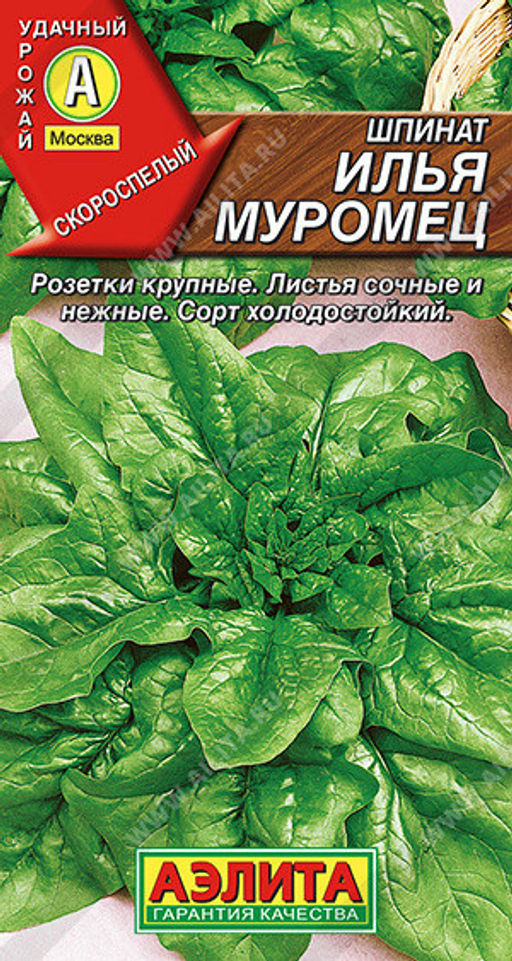 1093A Шпинат Илья Муромец 3гр