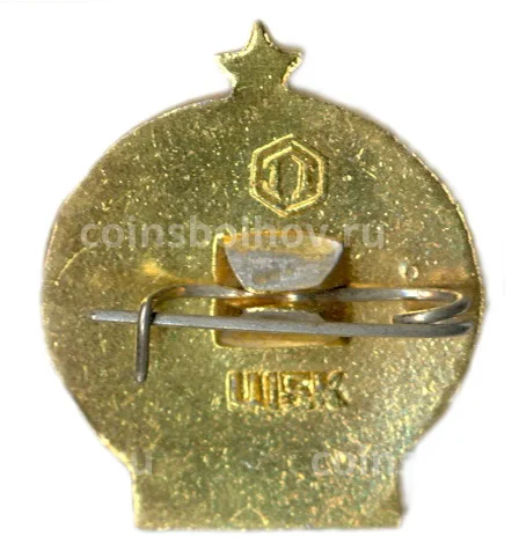 Значок Турист СССР