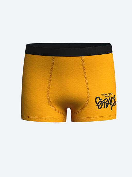 Bask?l? Erkek ?ocuk Boxer 3l? - Waikiki фото 3