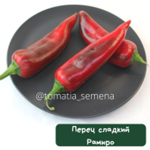 Перец Рамиро красный - Tomatia фото 2