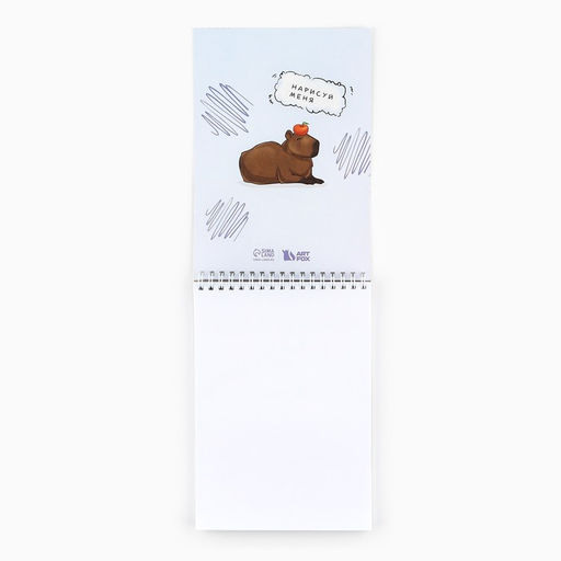 Скетчбук А5, 40 листов, 100 г «Капибара»