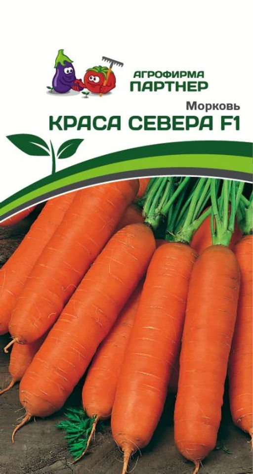 Морковь Краса Севера