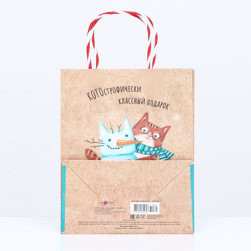 Пакет подарочный КОТОстрофически классный подарок 18 х 22,3 х 10 см - Simaland фото 3