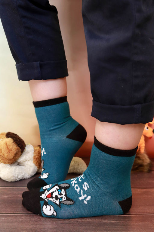 Носки детские Хаски (набор 3 пары)