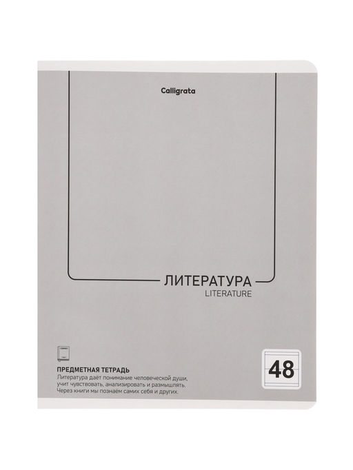 Комплект 12 предметных тетрадей 48 листов, справочная информация, 60 г, Пастель