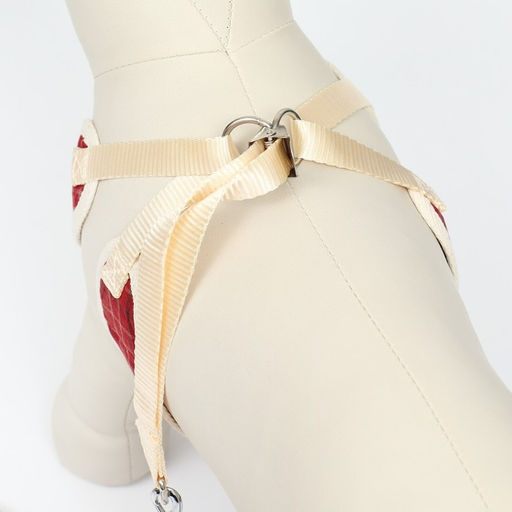 Комплект с мягкой шлейкой Клетки, размер M, поводок, 120 х 1,5 см, ОГ 34-66 см, красный - Пижон фото 4