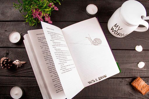 Тайные виды на гору Фудзи - Эксмо фото 17