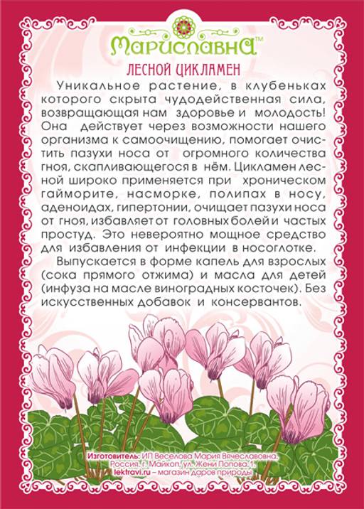 Капли цикламена
