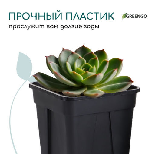 Цена за 20 шт. Горшок для рассады, 250 мл, 6.7×6.7×8 см, пластик, чёрный, Greengo