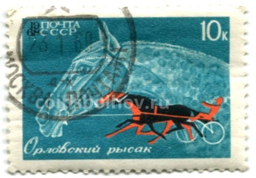 Марка Породы лошадей  Орловский рысак