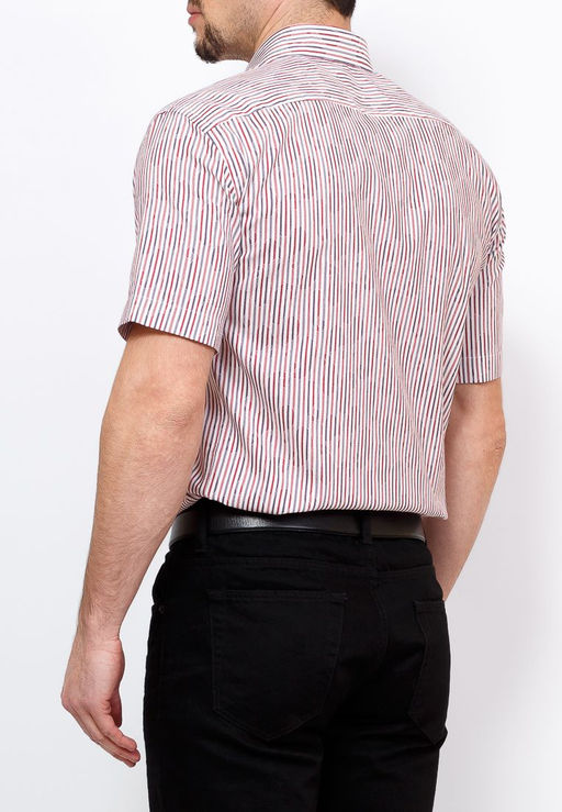 Сорочка мужская короткий рукав GREG Gb613/309/5/Z/P/1  фото 2