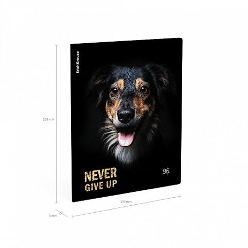 Цена за 5 шт. Тетрадь общая ученическая ErichKrause Собаки, 96 листов, клетка, матовая ламинация_MIX-PACK  фото 10