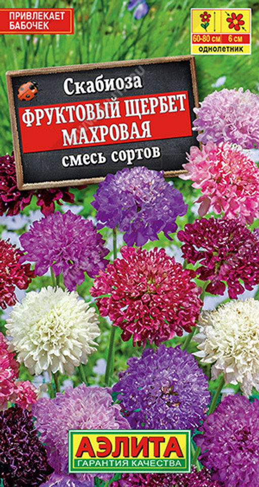 1795A Скабиоза Фруктовый щербет махровая, смесь сортов 0,1гр