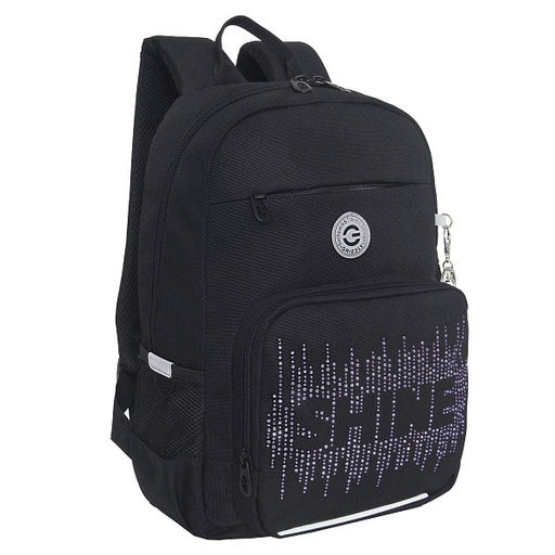 RG-464-3f Рюкзак школьный - Grizzly фото 36