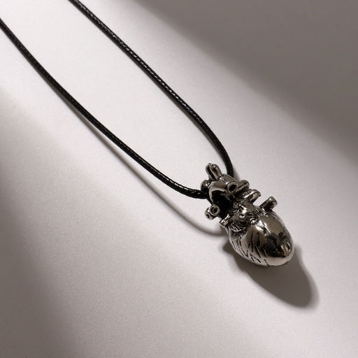 Кулон на шнурке «Анатомия» сердце, цвет чернёное серебро на чёрном шнурке, 43 см