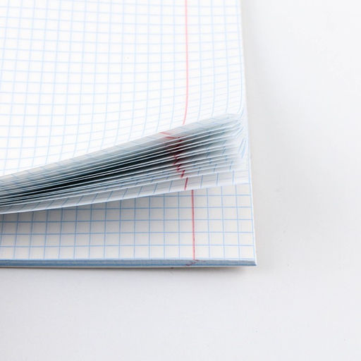 Предметная тетрадь, 48 листов, КОТ, со справочными материалами Физика, обложка мелованный картон 230 гр., внутренний блок в клетку 80 гр., белизна 96%,блок №1. - Artfox study фото 5