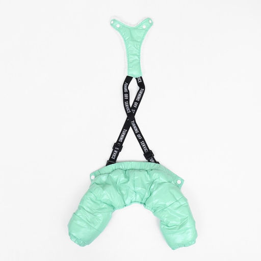 Комбинезон-штаны для собак, размер XL (ДС 44, ОТ 48 см), мятный - Simaland фото 8