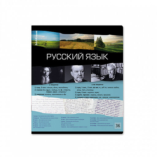 Цена за 5 шт. Тетрадь общая ученическая ErichKrause Timeline, Русский язык, 36 листов, линейка