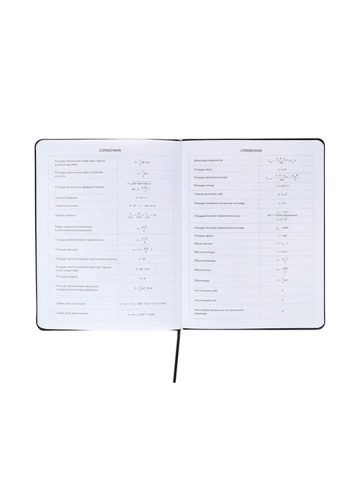 Дневник школьный 1-11 класс, deVENTE. Bee, ляссе, искусственная кожа, черный