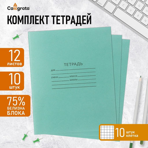 Набор тетрадей 12 листов в клетку Зелёная обложка, серые листы, 10 шт.